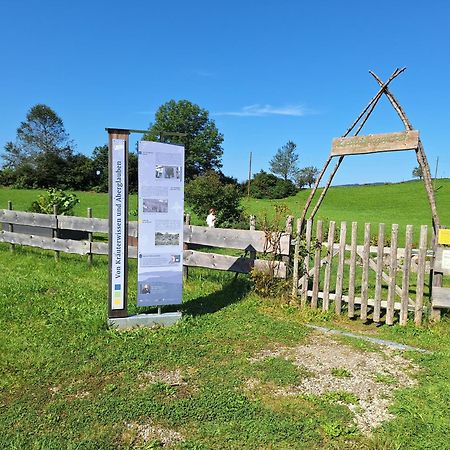 Fewo Allgaeuerle1605 Mit Hallenbad, Sauna, Tiefgarage Und Wlan Missen-Wilhams Exteriör bild