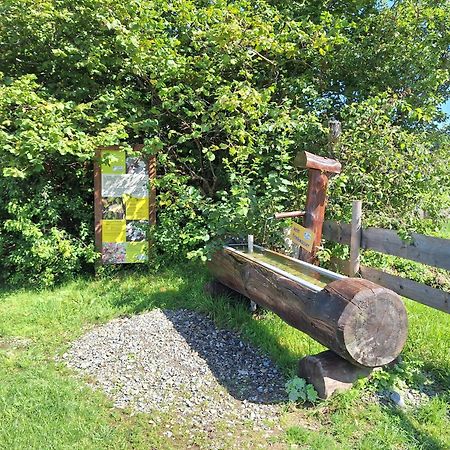 Fewo Allgaeuerle1605 Mit Hallenbad, Sauna, Tiefgarage Und Wlan Missen-Wilhams Exteriör bild