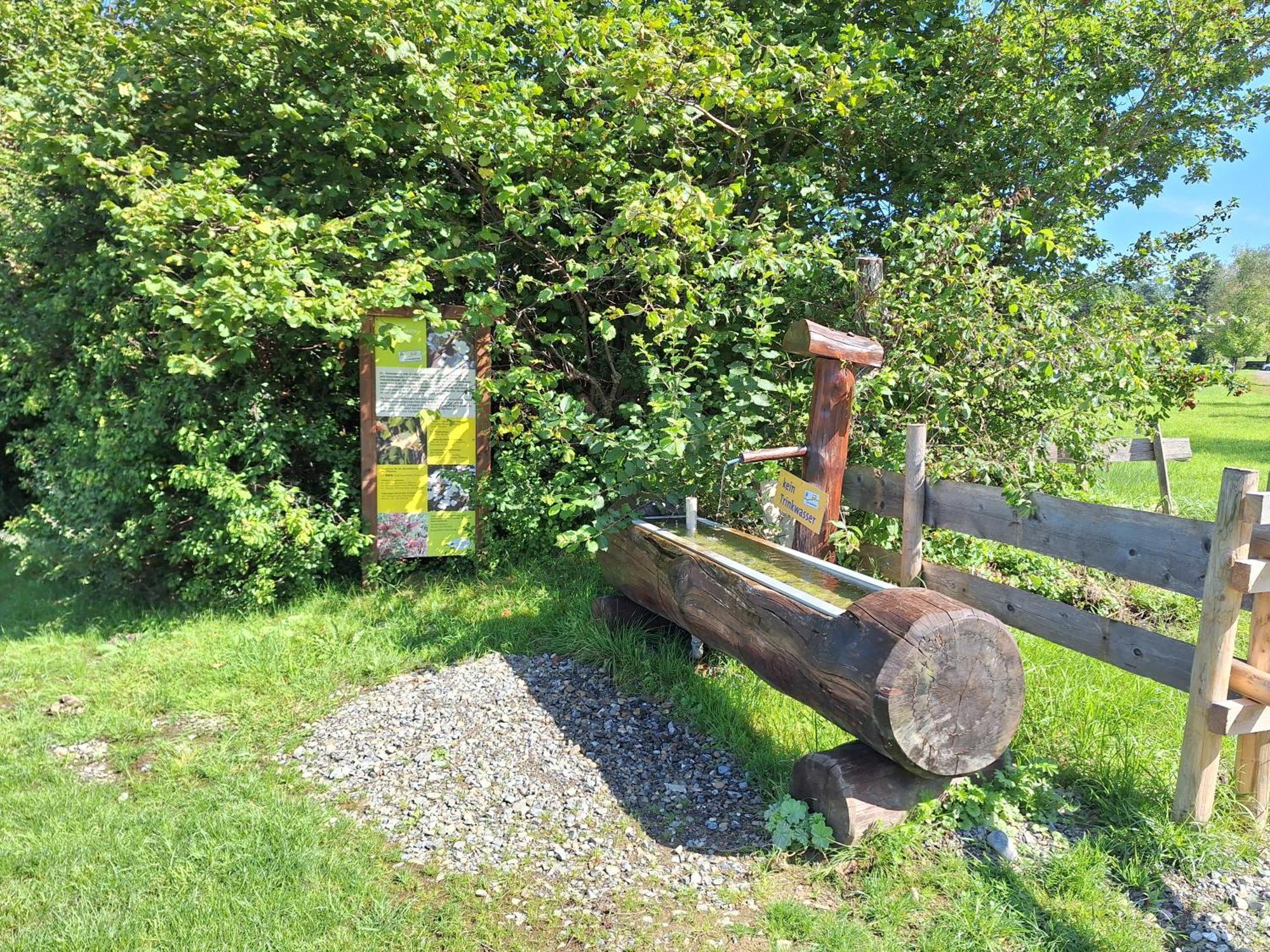 Fewo Allgaeuerle1605 Mit Hallenbad, Sauna, Tiefgarage Und Wlan Missen-Wilhams Exteriör bild